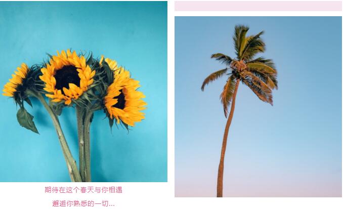 ֣ݱŸϡ˶ᡱ